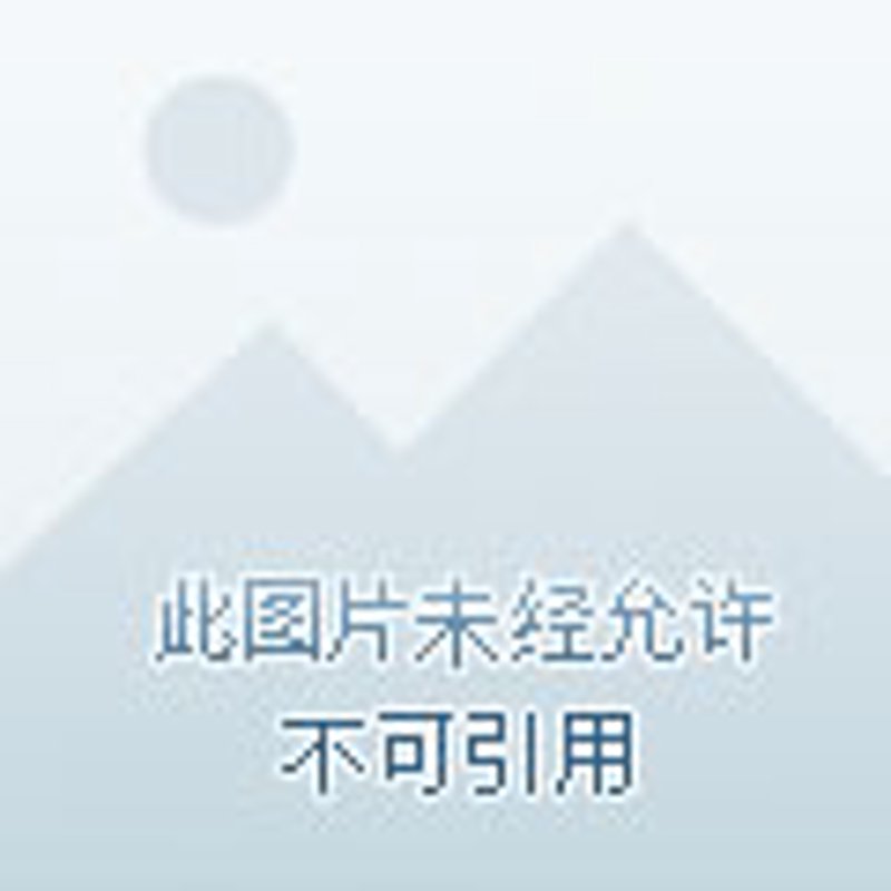 企业信息化,构筑高效运营的桥梁——以某连锁餐饮企业为例