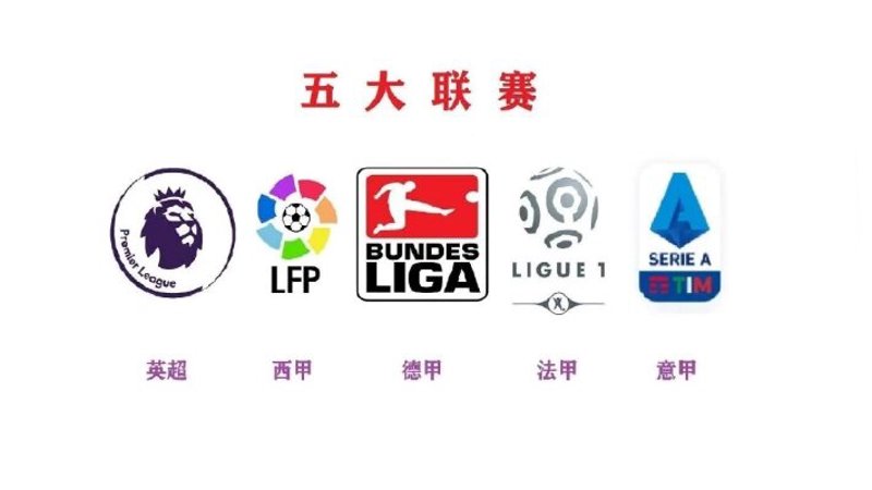 企业信息化:开启高效办公新篇章